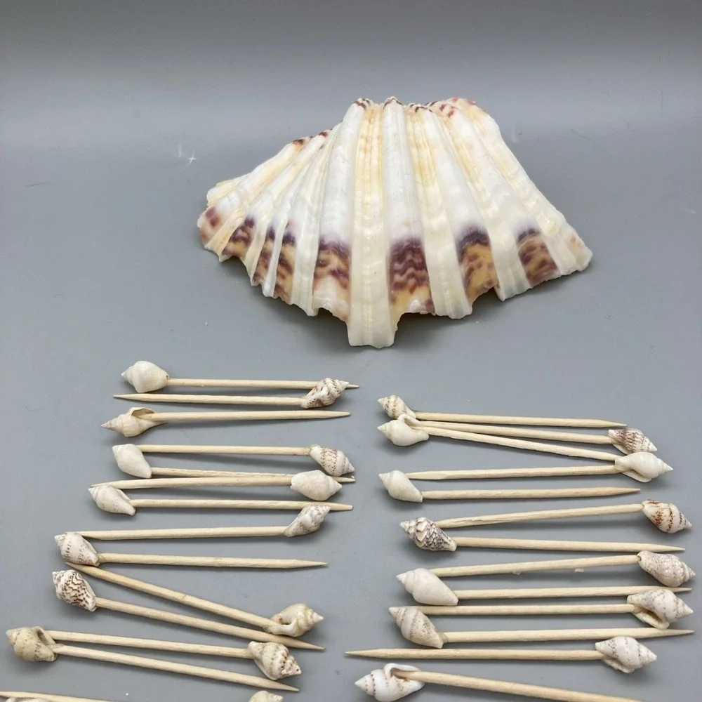 Vintage 1960's Sea Shell Appetizer Pick Set Large Main Shell 32  Toothpicks